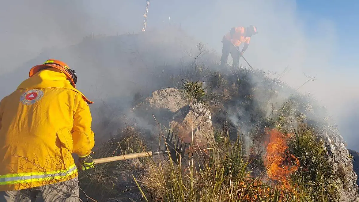 incendio cerro silla CORTESIA