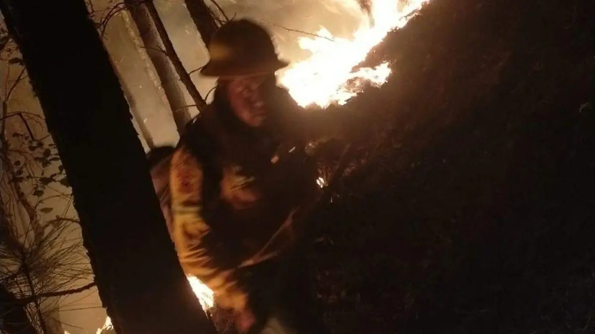 Incendio consume el bosque de Mazaltepec, en Oaxaca