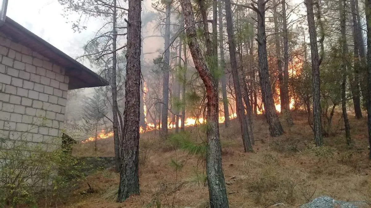 incendio arteaga ESPECIAL