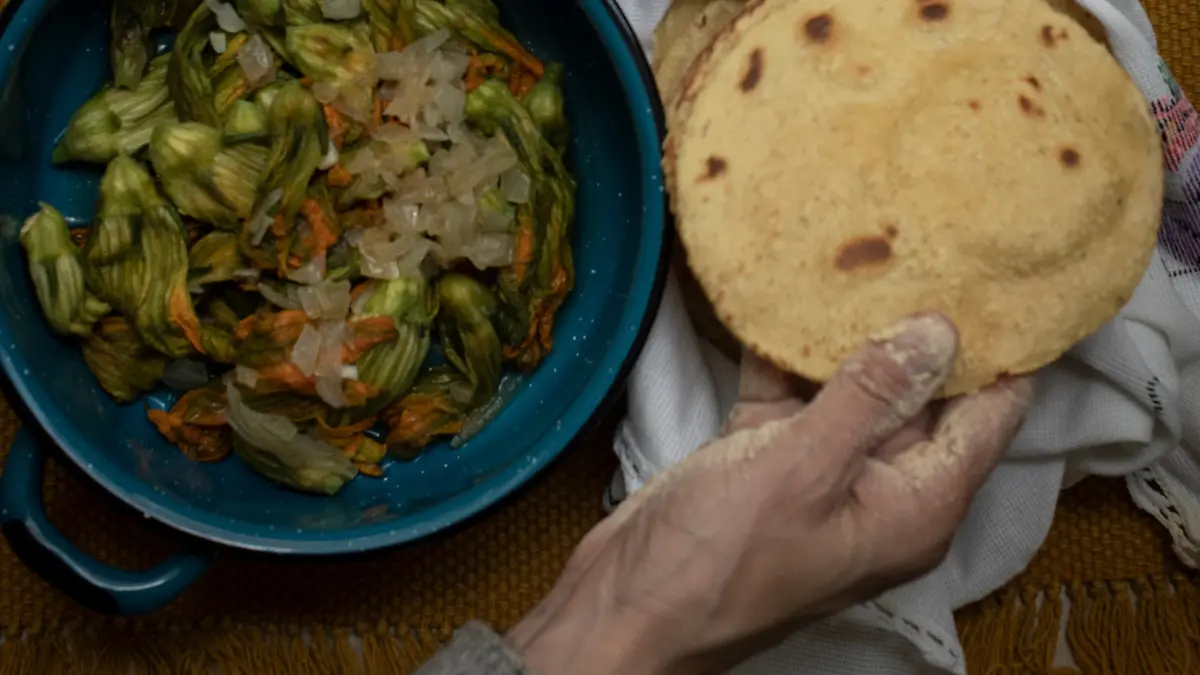 cocina comida