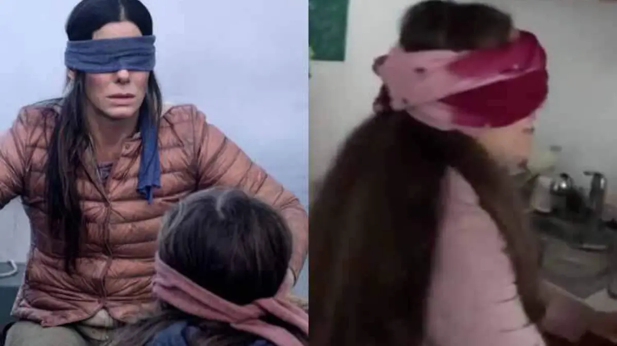 bird box