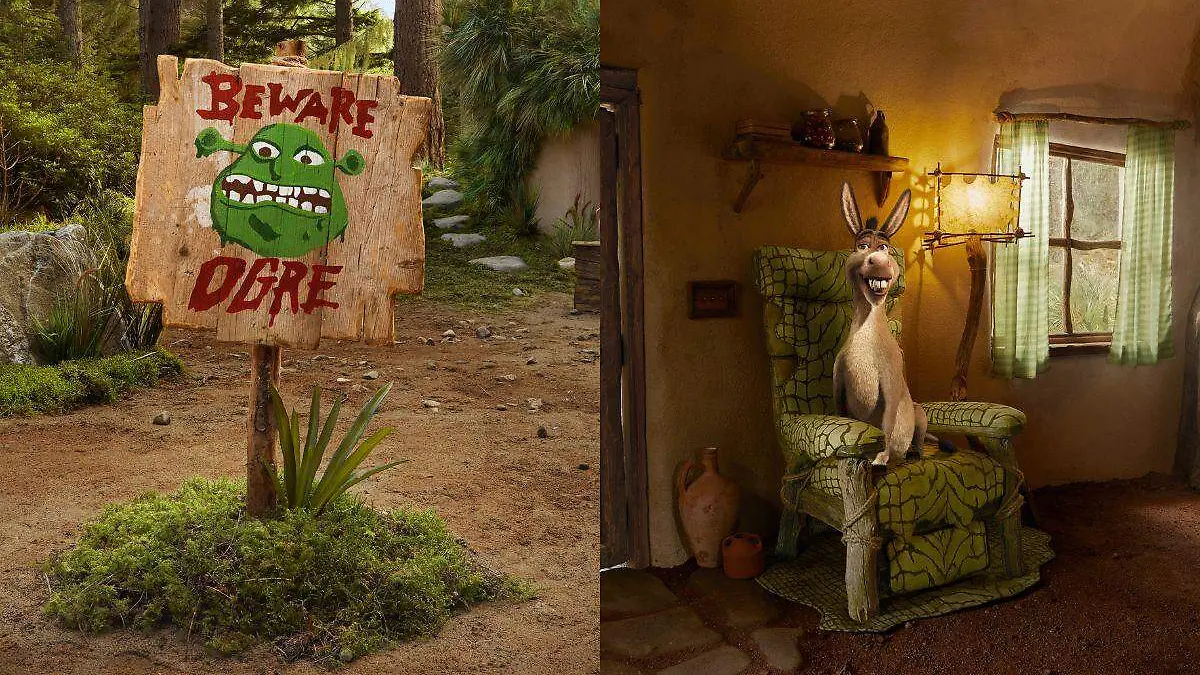 Airbnb de Shrek