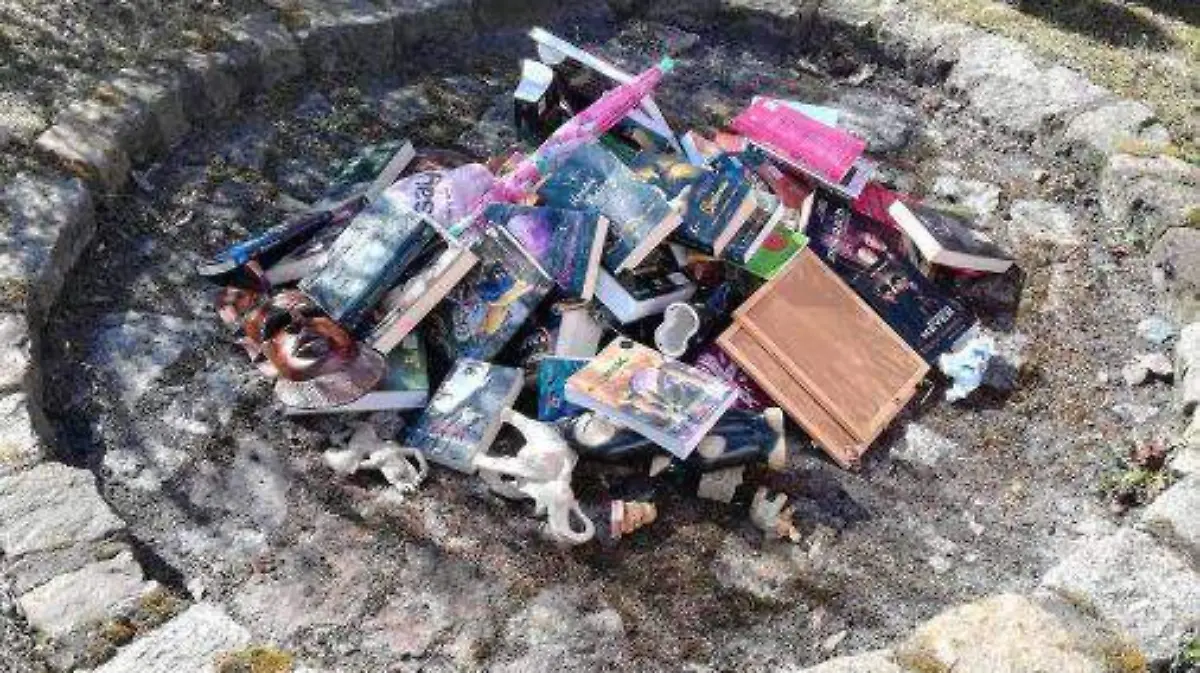 libros polacos  - SMS desde el Cielo.3