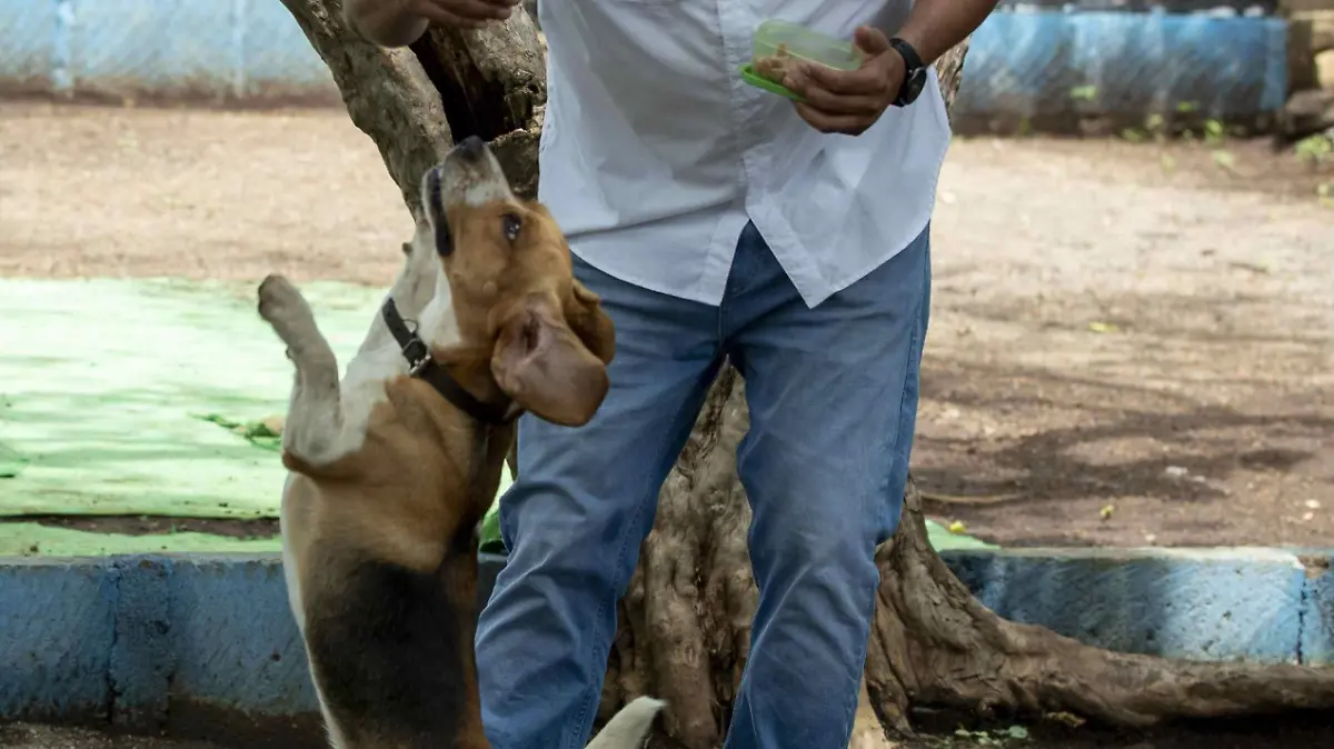 510b158e5677f7eb617748d1c8a4837d7b6b2686