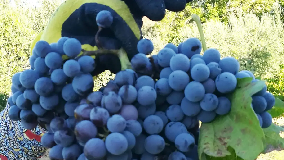 SECUNDARIA 55005171271_1