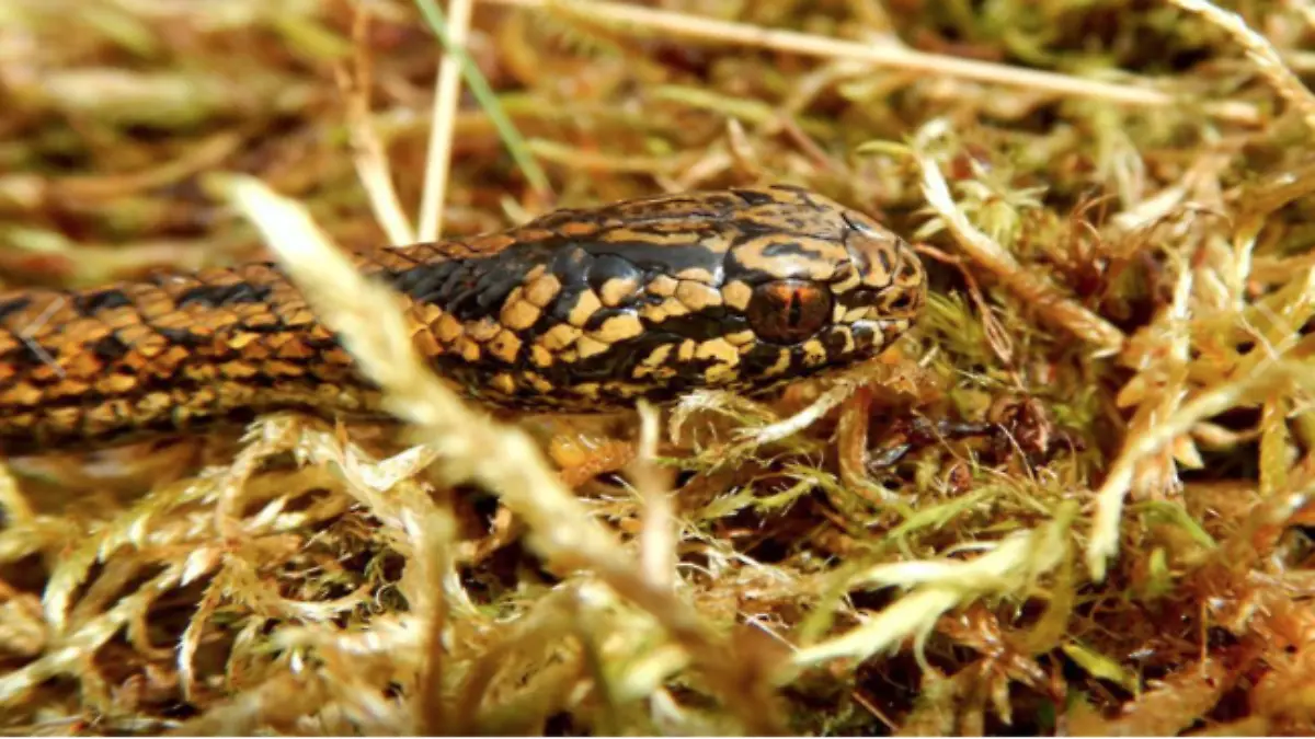 Captura de Pantalla 2023-08-17 a la(s) 15.23.01