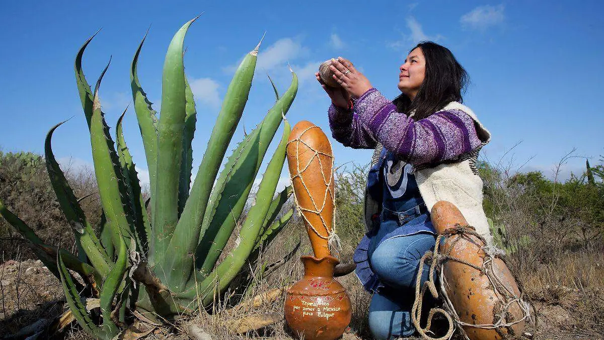 Pulque