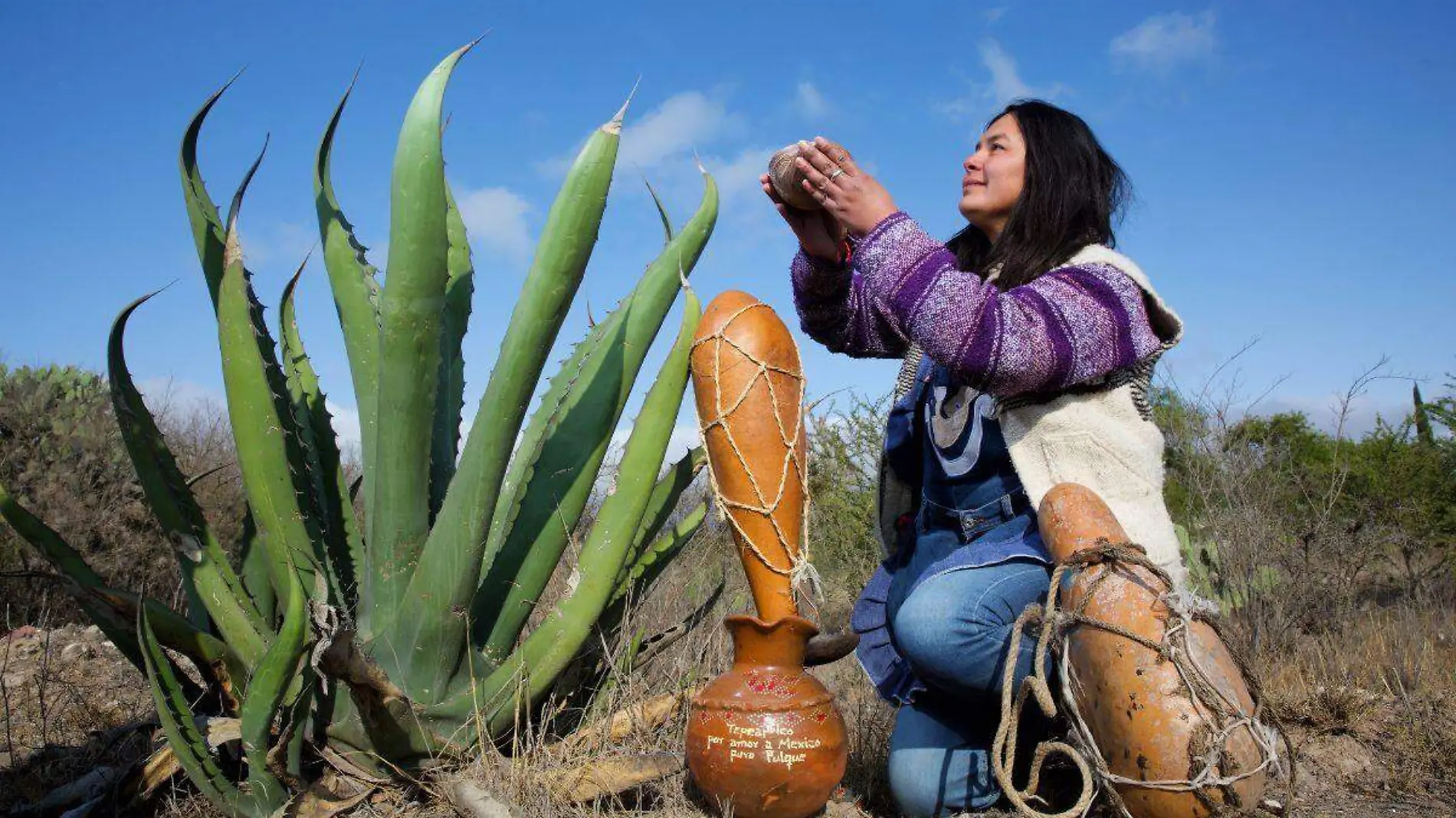 Pulque