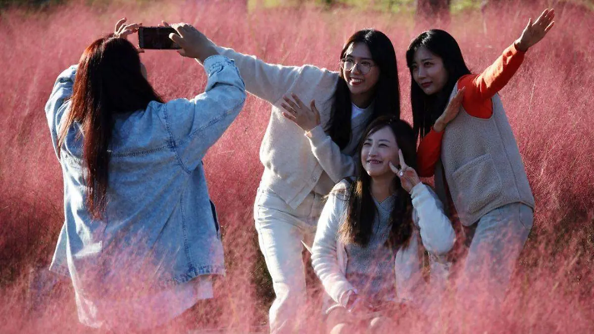 Diseño sin título - 2022-12-15T142650.010