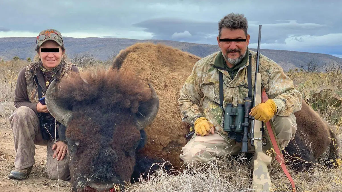 bisontes rancho buenavista coahuila caza ilegal conanp semarnat profepa (1)