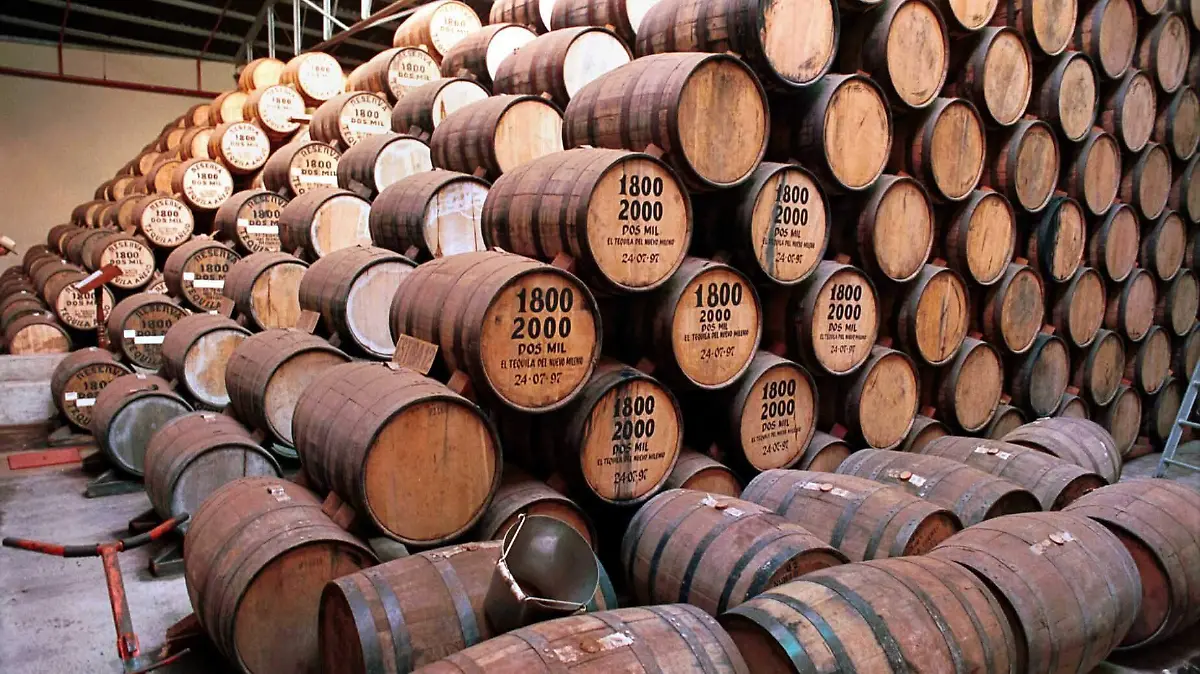 02 INT cuartoscuro_5480_impreso