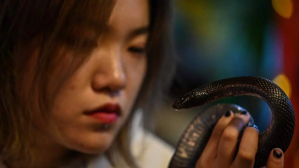 cafe animales china shanghai afp (9)