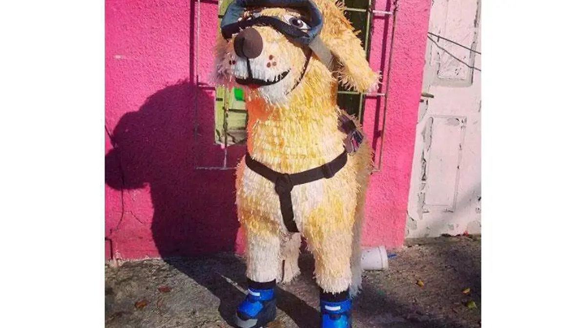 perrita-frida-pinata