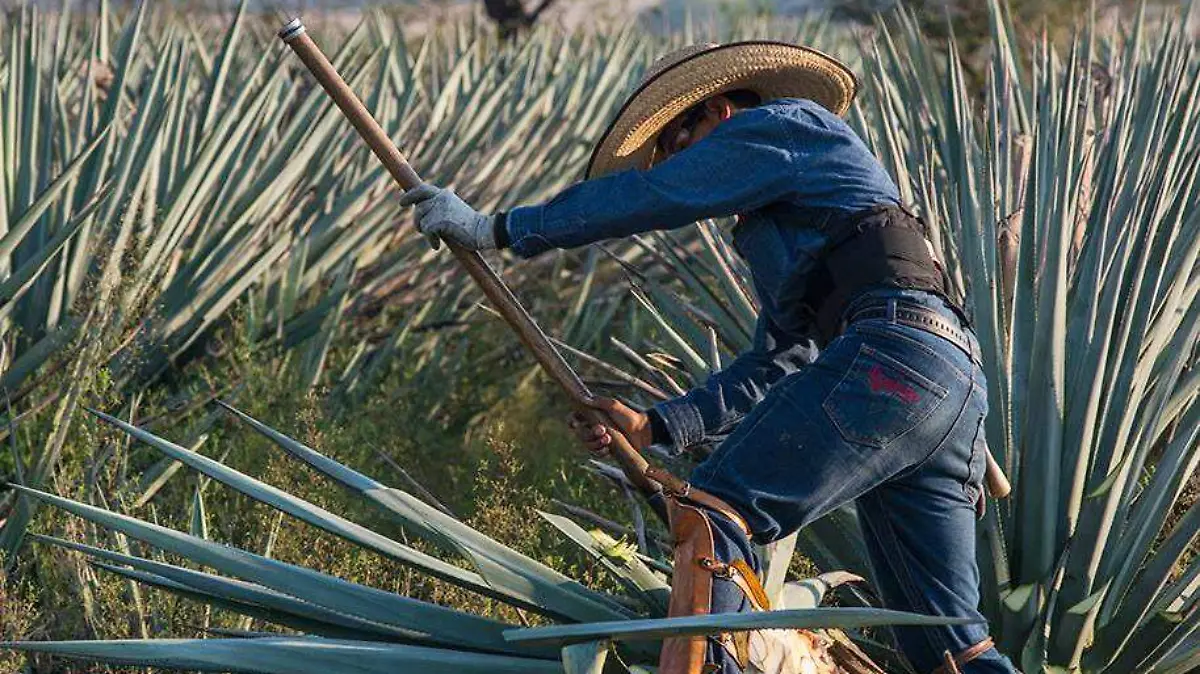 EXTRA REDES CORTESÍA  FISAC (1)