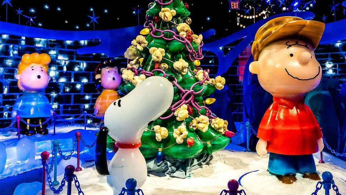 Diseño sin título - 2022-09-11T135320.229