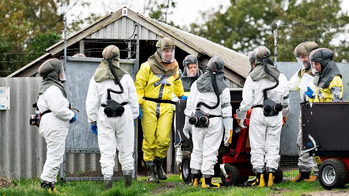 2020-11-04T161126Z_2082179721_RC2GWJ9782JR_RTRMADP_3_HEALTH-CORONAVIRUS-DENMARK-MINK