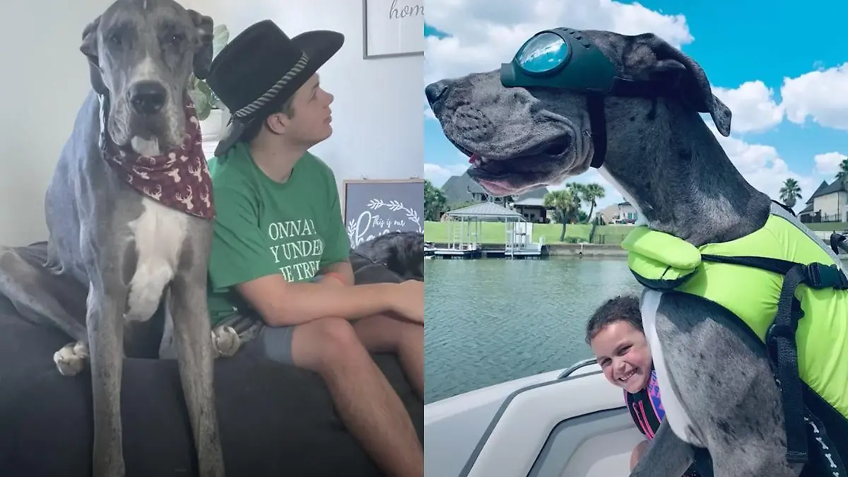 ¡SÍ, QUE SE LARGUE! (1)