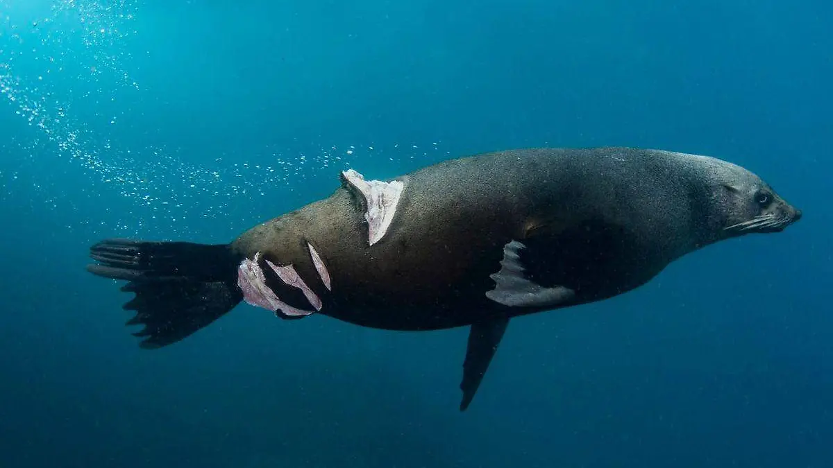 ¡SÍ, QUE SE LARGUE! - 2023-03-02T113341.215