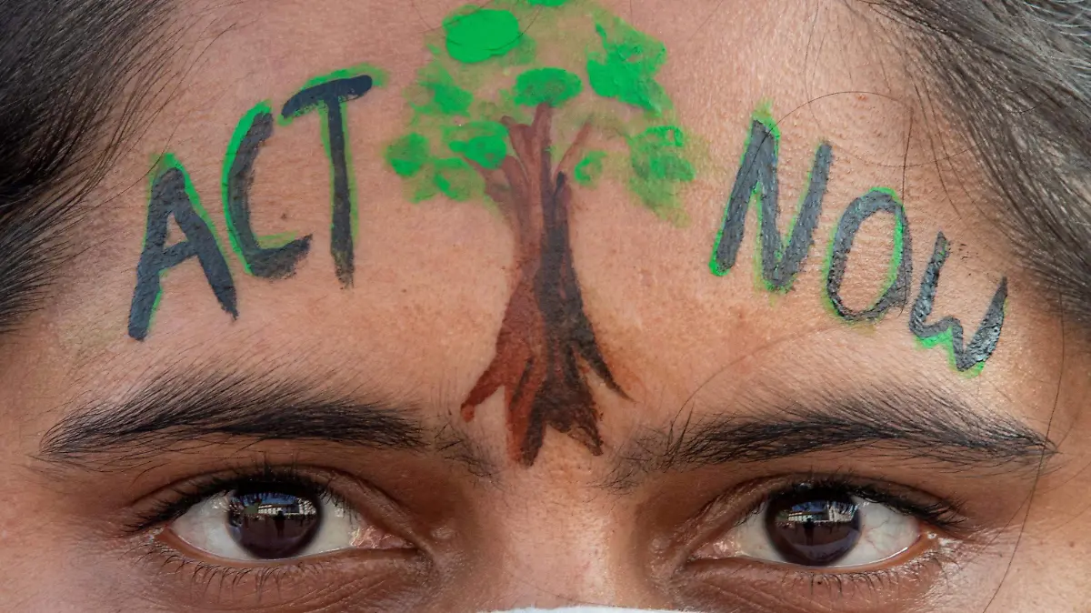 0c52a4202f1c73b12036ec10cd766e35e95ede79