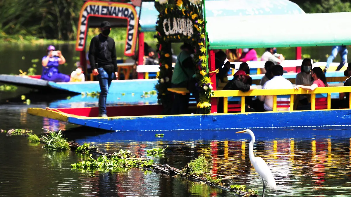 03 INT cuartoscuro_824379_impreso