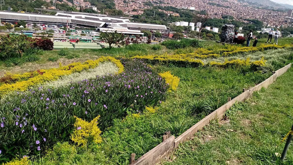 medellin-3