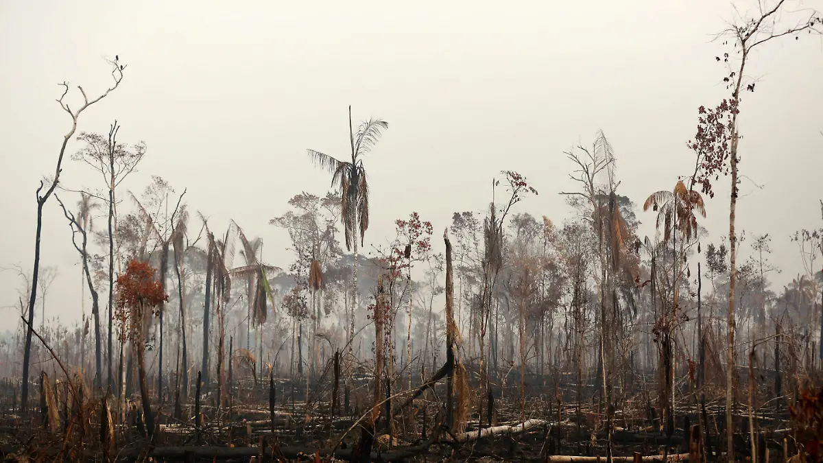 2019-08-24T134818Z_213841628_RC13D7801160_RTRMADP_3_BRAZIL-ENVIRONMENT-WILDFIRES