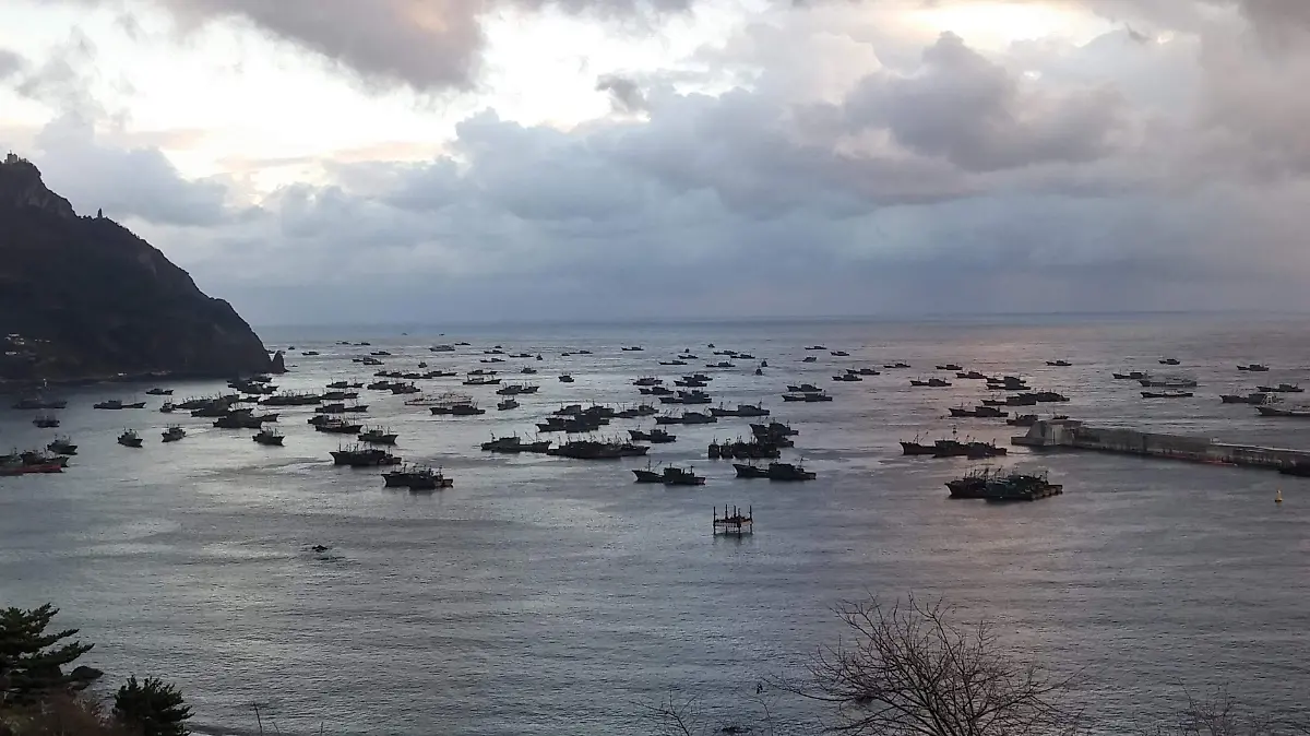 Chinese pair trawlers anchored in the harbor of Ulleung Island in South Korean waters (October, 2016)