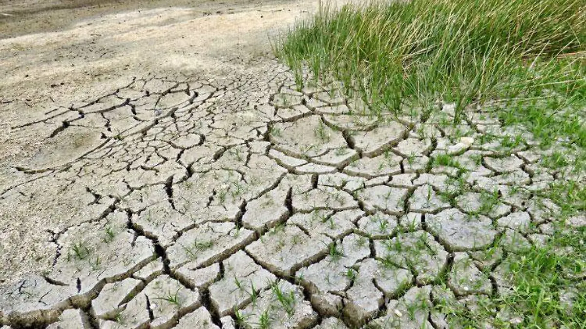 climate-change-2241061