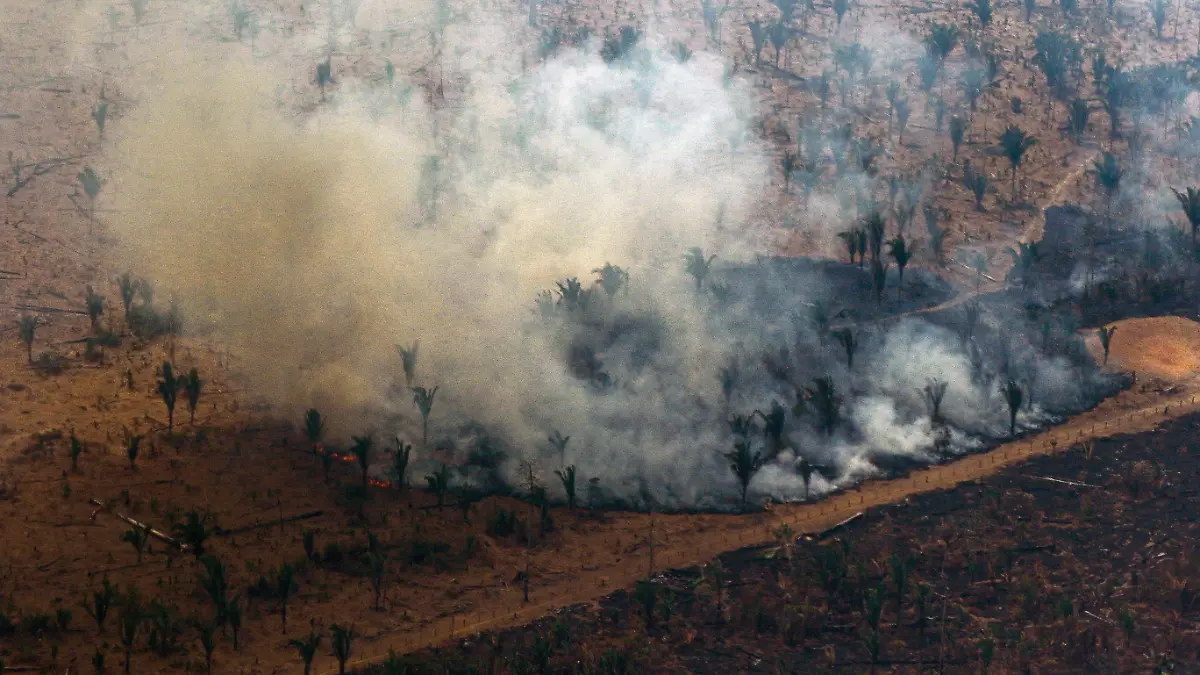 amazonas-afp