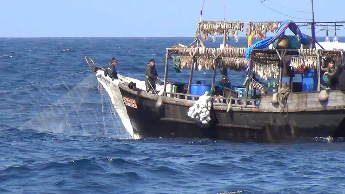 South Korean squid fishermen in the East Sea (Sea of Japan). (October, 2017).