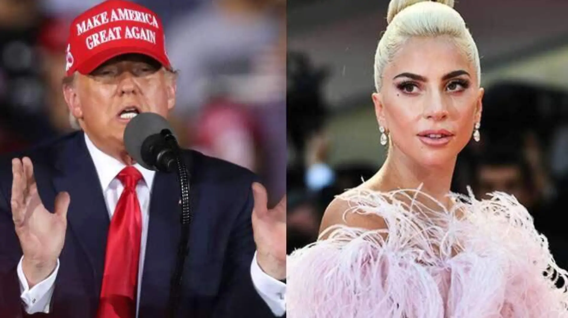 Lady-gaga-donald-trump