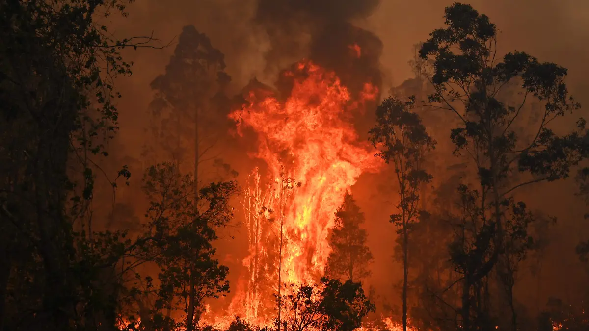 incendios australia 2
