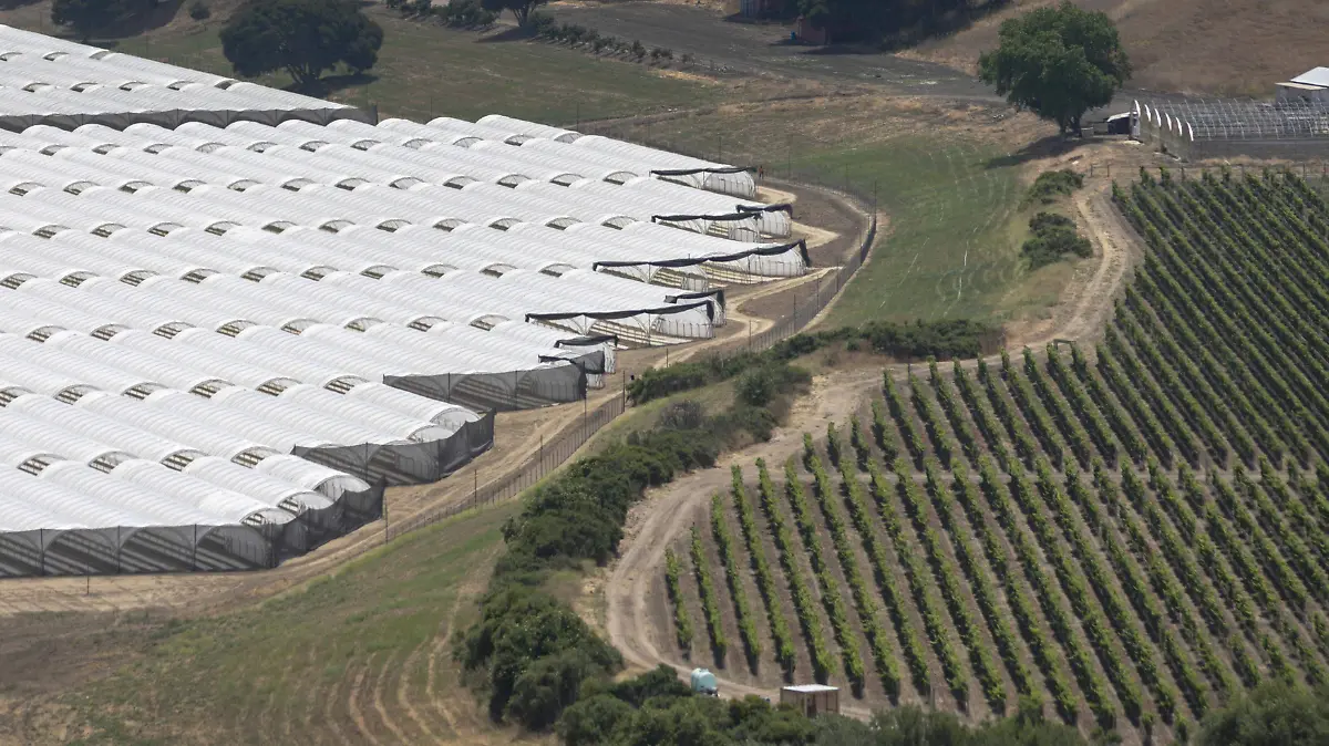 Estados Unidos Drogas