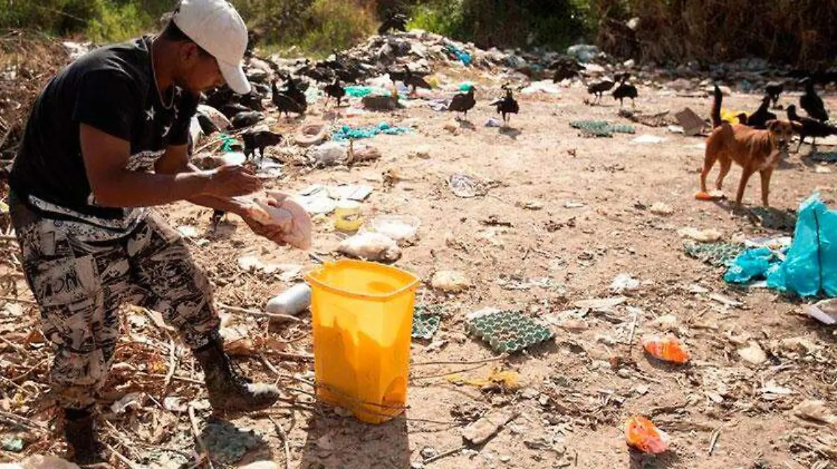 venezolanos_buitres_3