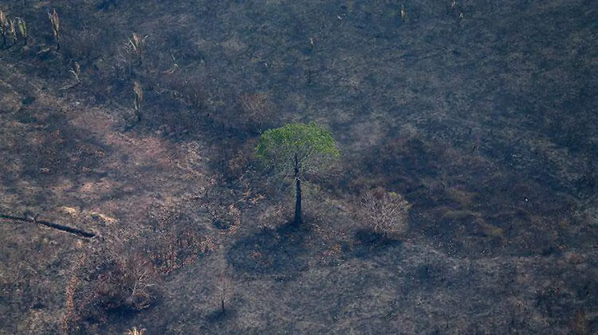 Amazonas_incendio_3