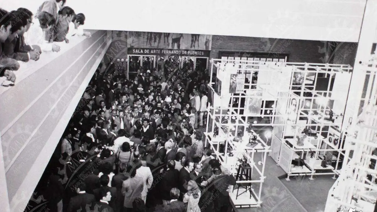Cineteca