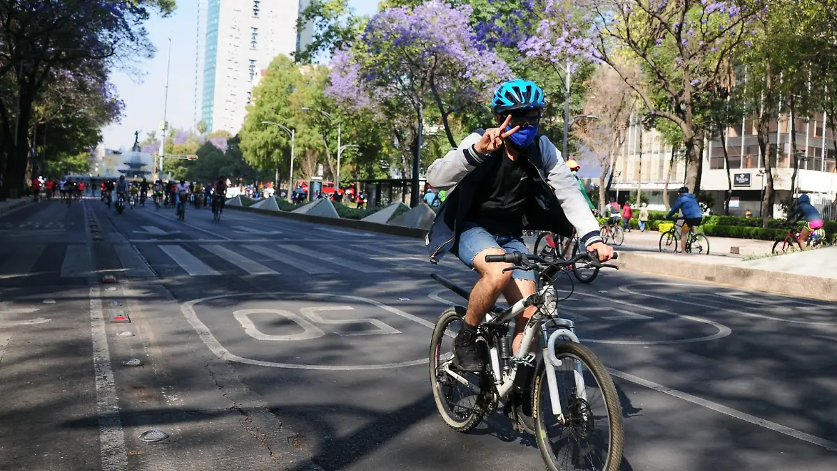 Festival de la Bicicleta CDMX 