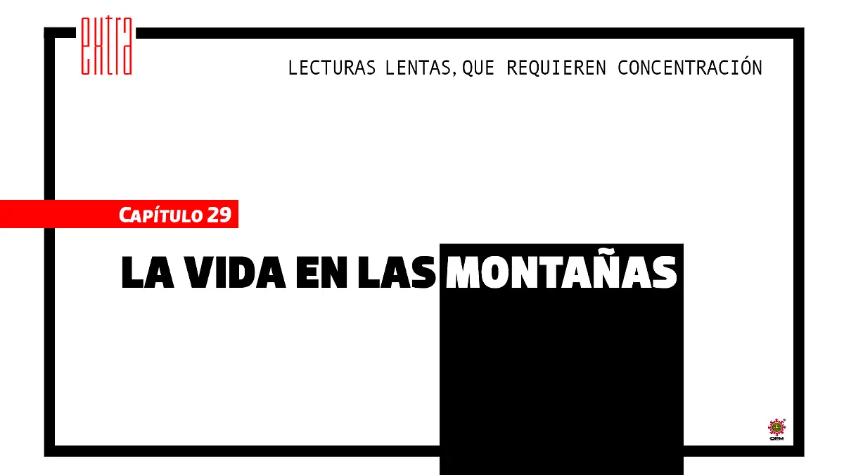 chapo_web29