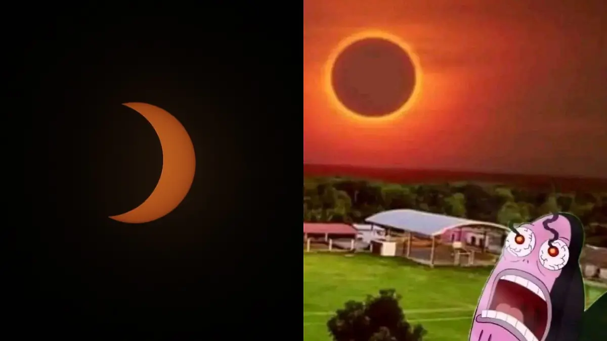 Eclipse solar memes 