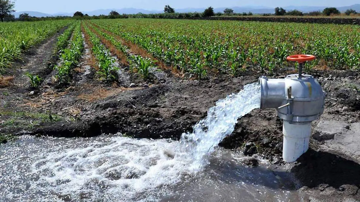 agua riego campesino