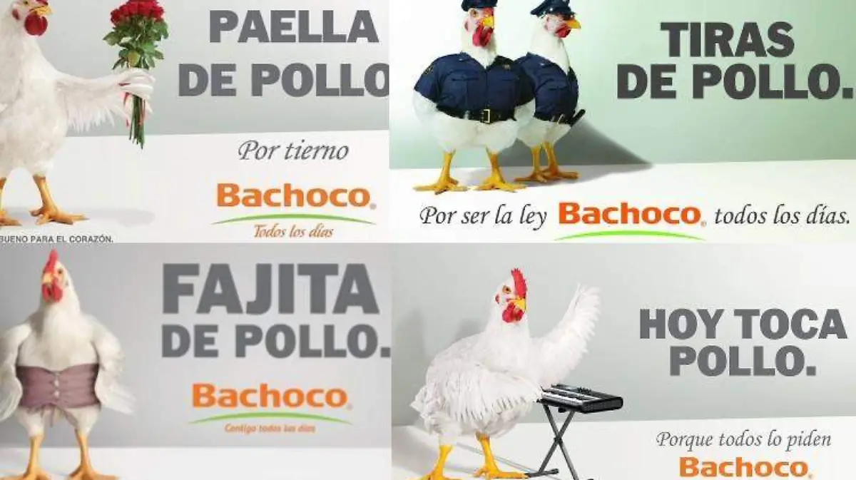 publicidad bachoco pollos