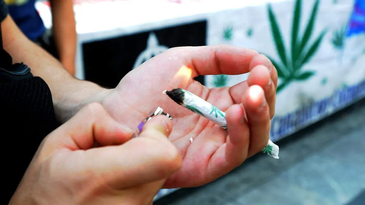 Senado pide tiempo a la Corte para legislar sobre uso lúdico de la marihuana ernesto muñoz (1)