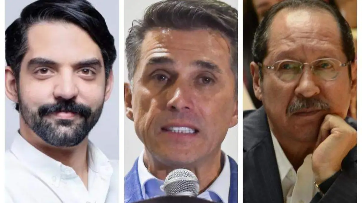 diputados de morena collage