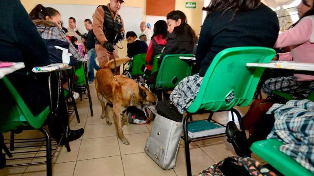 escuela8