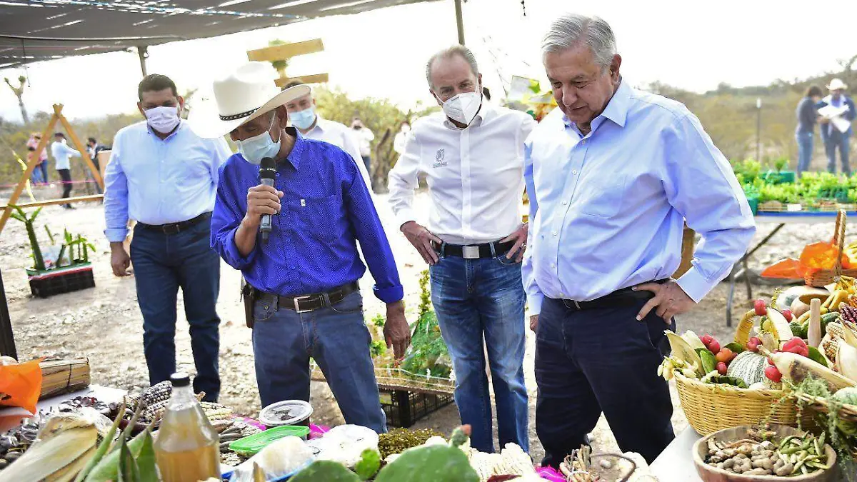 amlo campesinos sembrando vida