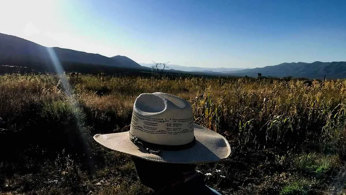 campesinos_campo-Mexico