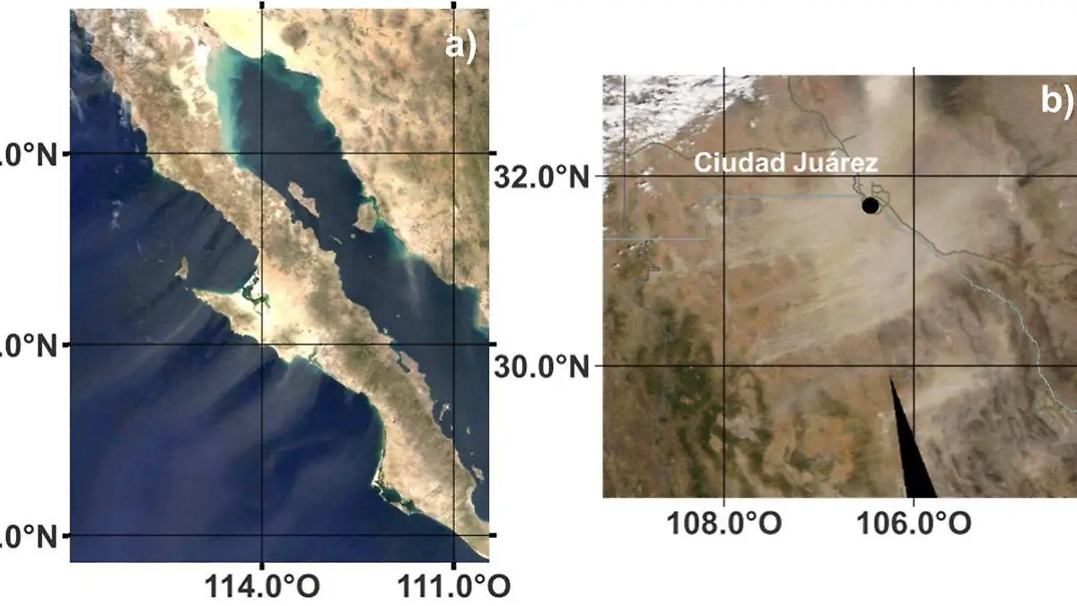 MÉXICO ES CIENCIA Figura 1