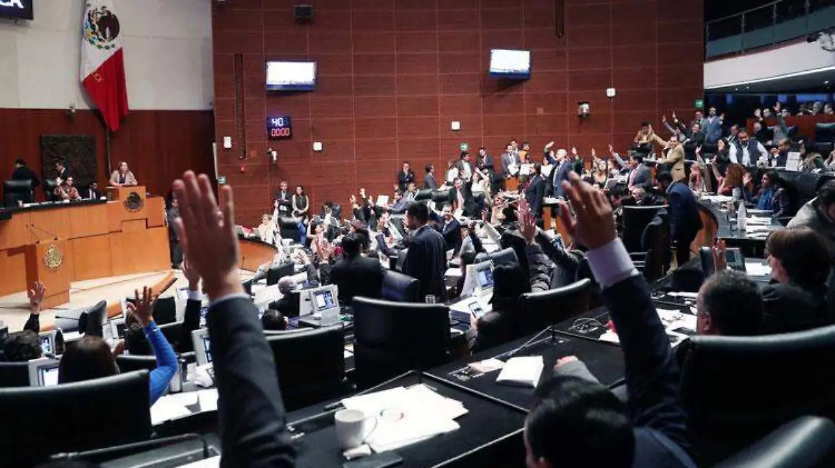 SENADO-SESION