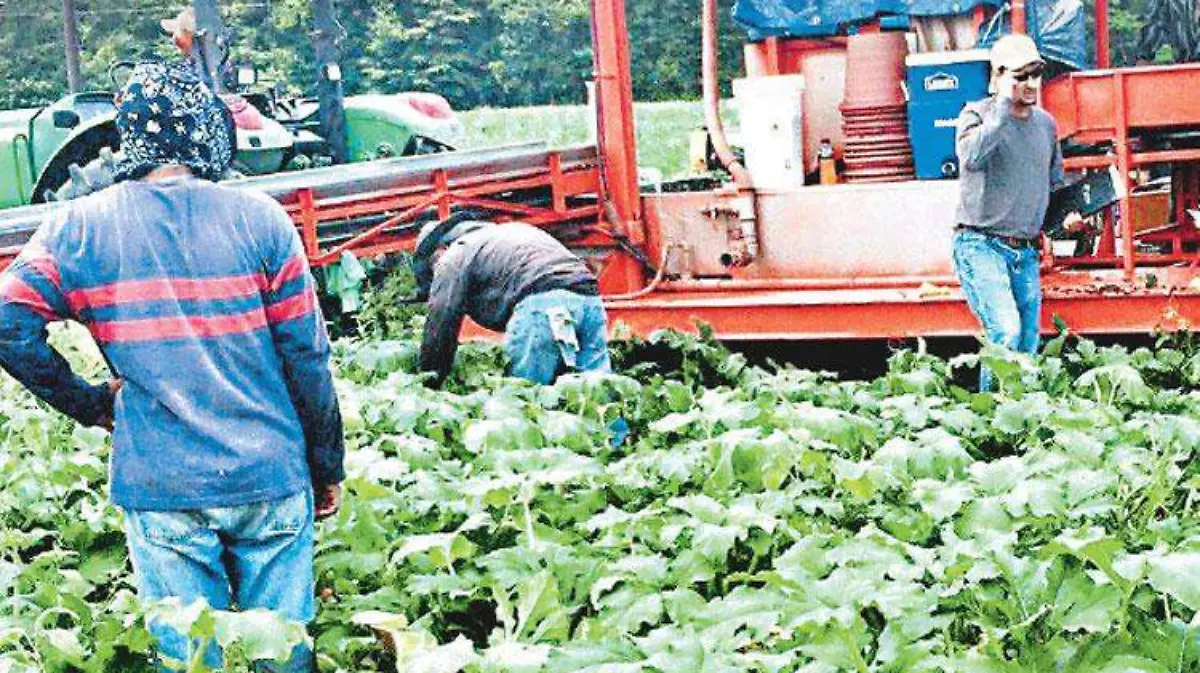 trabajadores