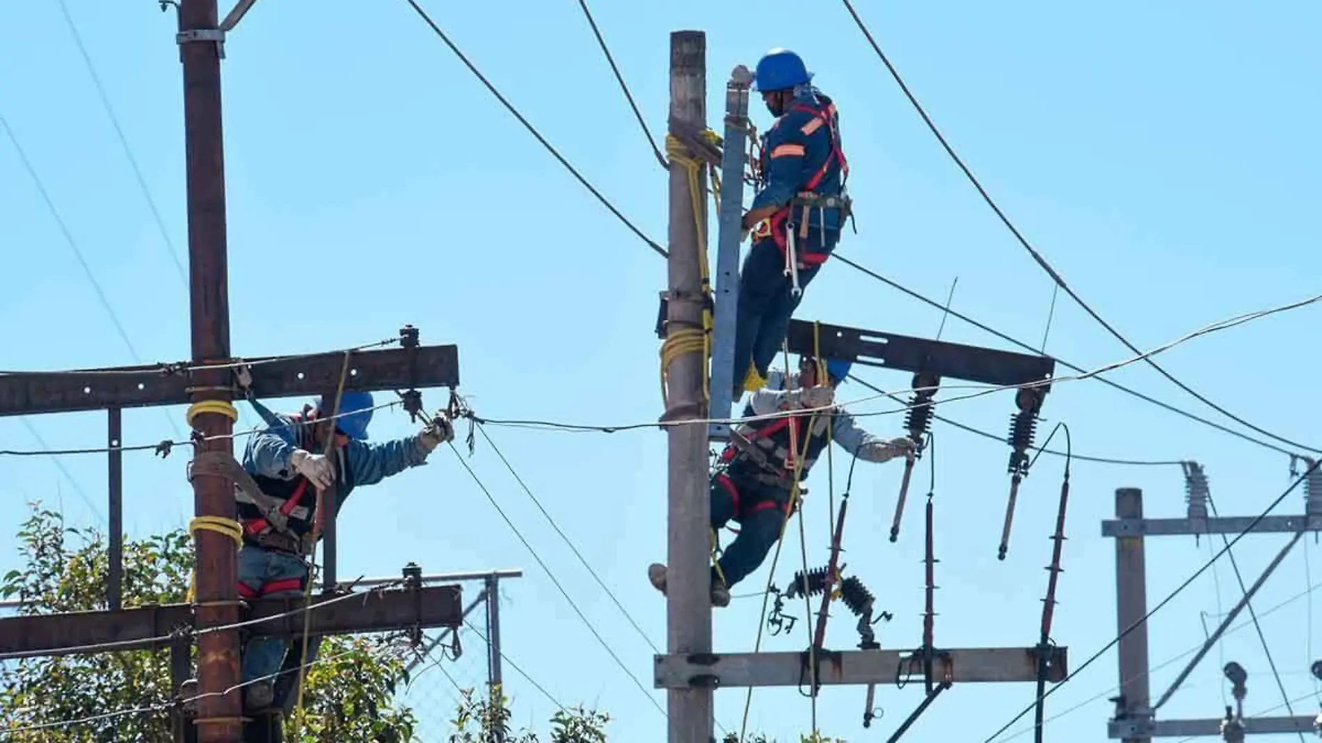 Trabajadores-de-CFE